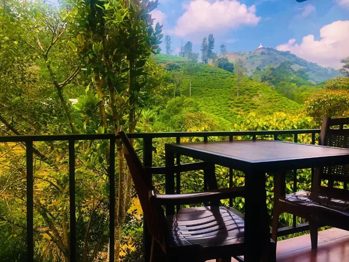 Элла: Wild Resort Ella