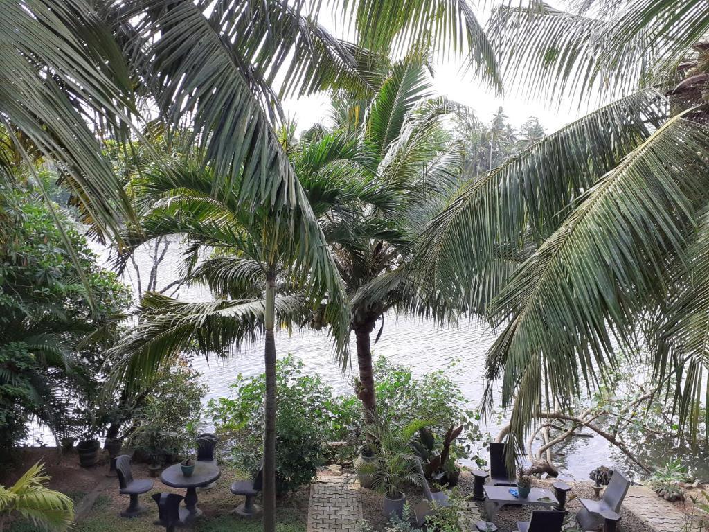 Велигама: Tinara River Inn, Weligama