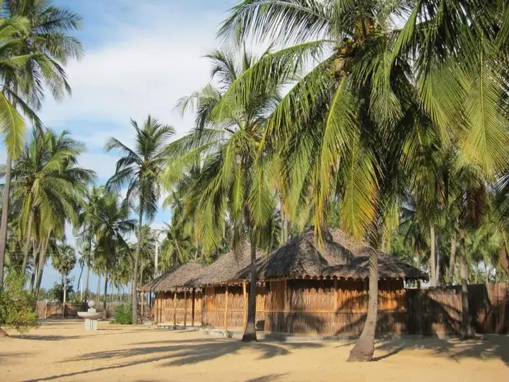Кандакули: Funky Far Nest Tropical Resort