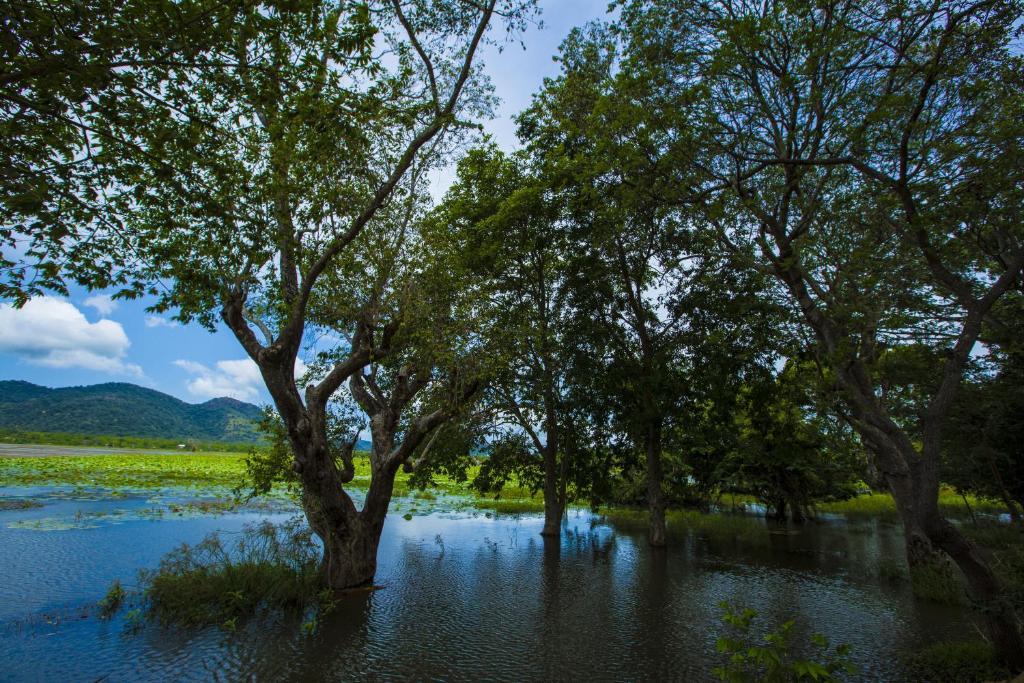 Катарагама: Grand Tamarind Lake