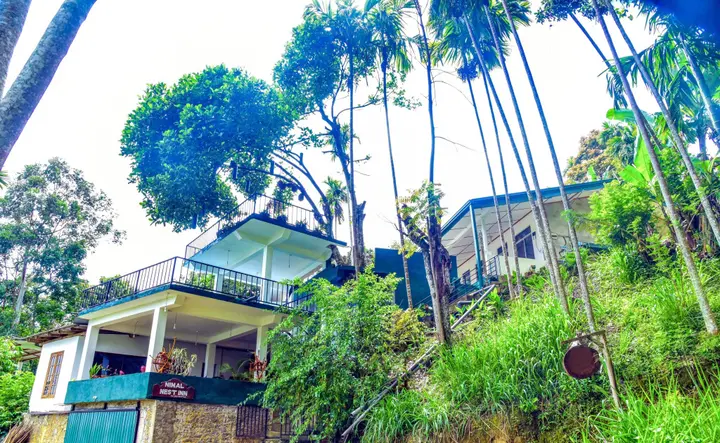 Элла: Ella Nimal Nest Inn