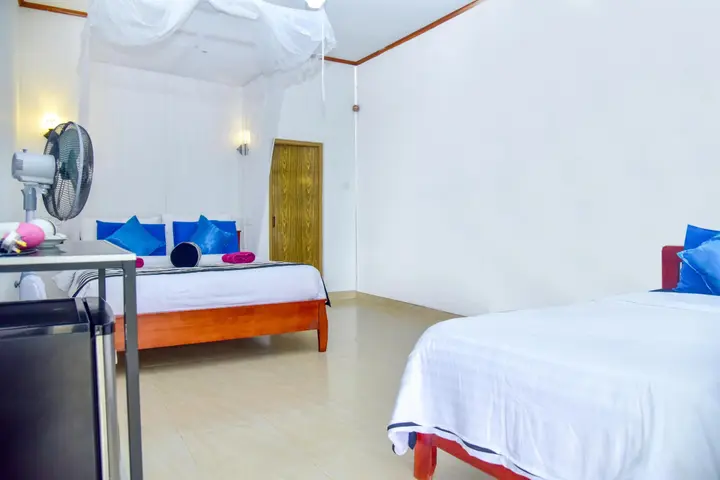 Элла: Ella Nimal Nest Inn