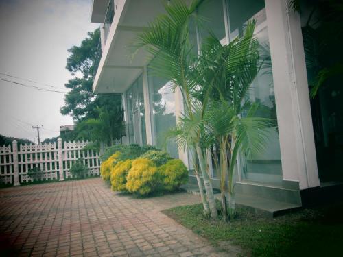 Blue Water Lily Hotel — фото 3