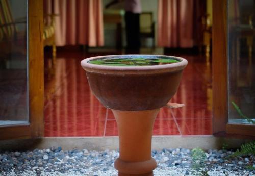 Негомбо: Ayurvedee Traditional Ayurveda