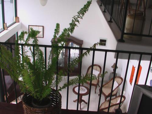 Eco Friendly Beautiful Suite — фото 6
