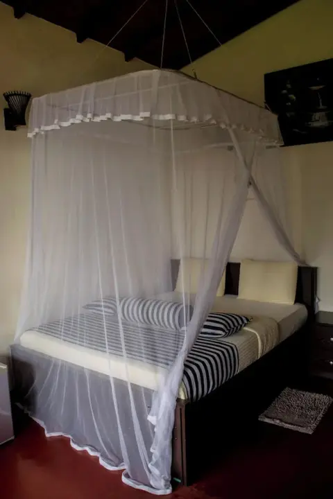 Элла: Blue Ribbon Homestay