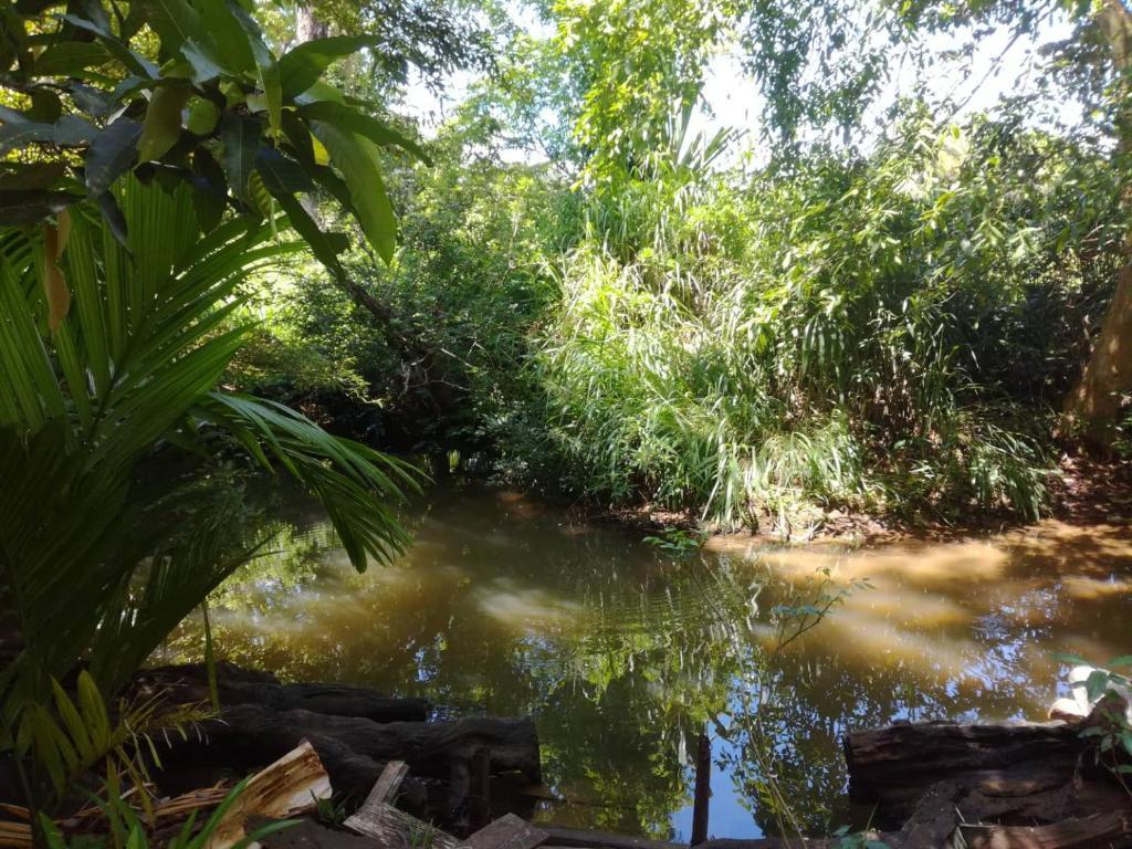 Сигирия: Coconut Haven Homestay
