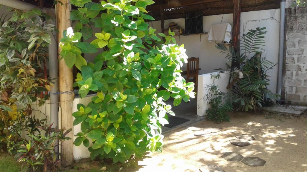 Garden Beach Hotel — фото 2