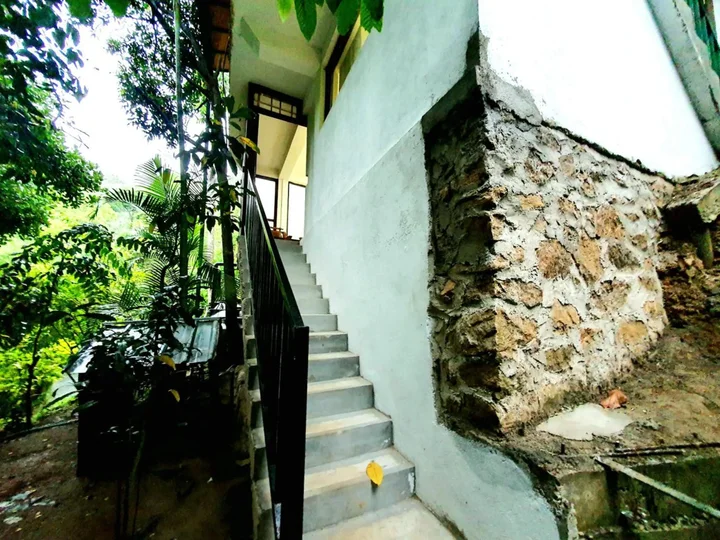 Элла: Country House