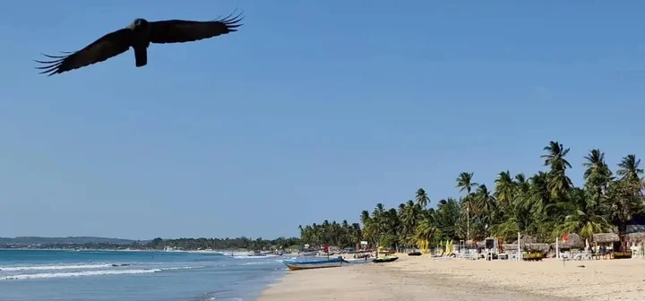 Тринкомали: Lucky Beach Resort