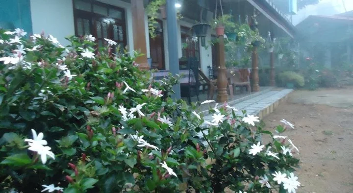 Элла: New Cinnamon Garden Homestay