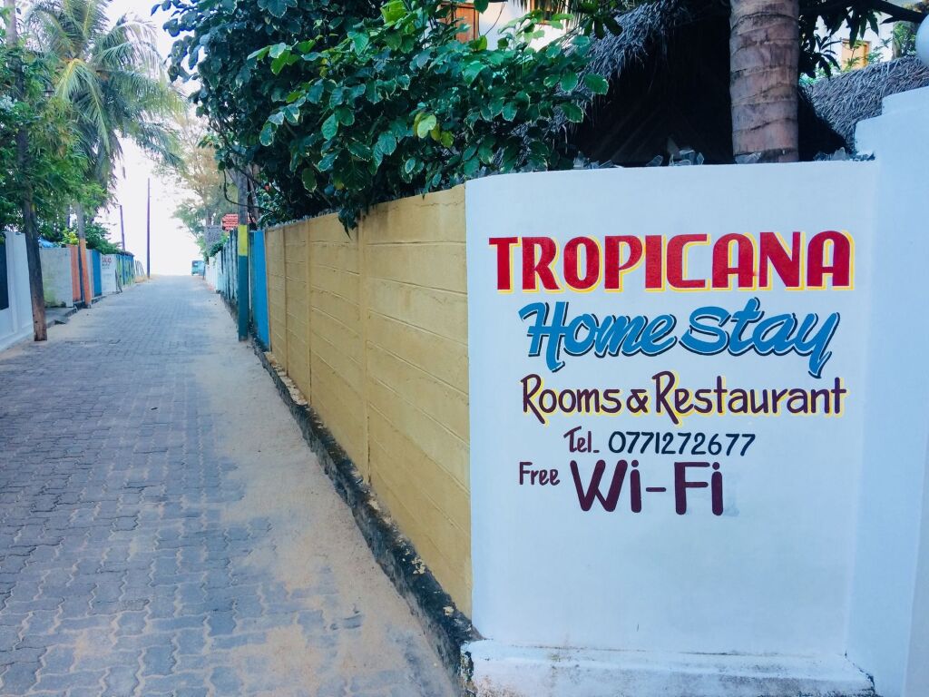 Tropicana homestay — фото 1