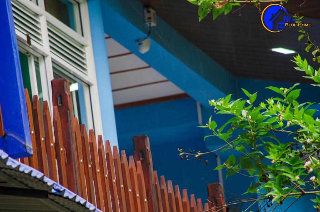 Элла: New Blue Home