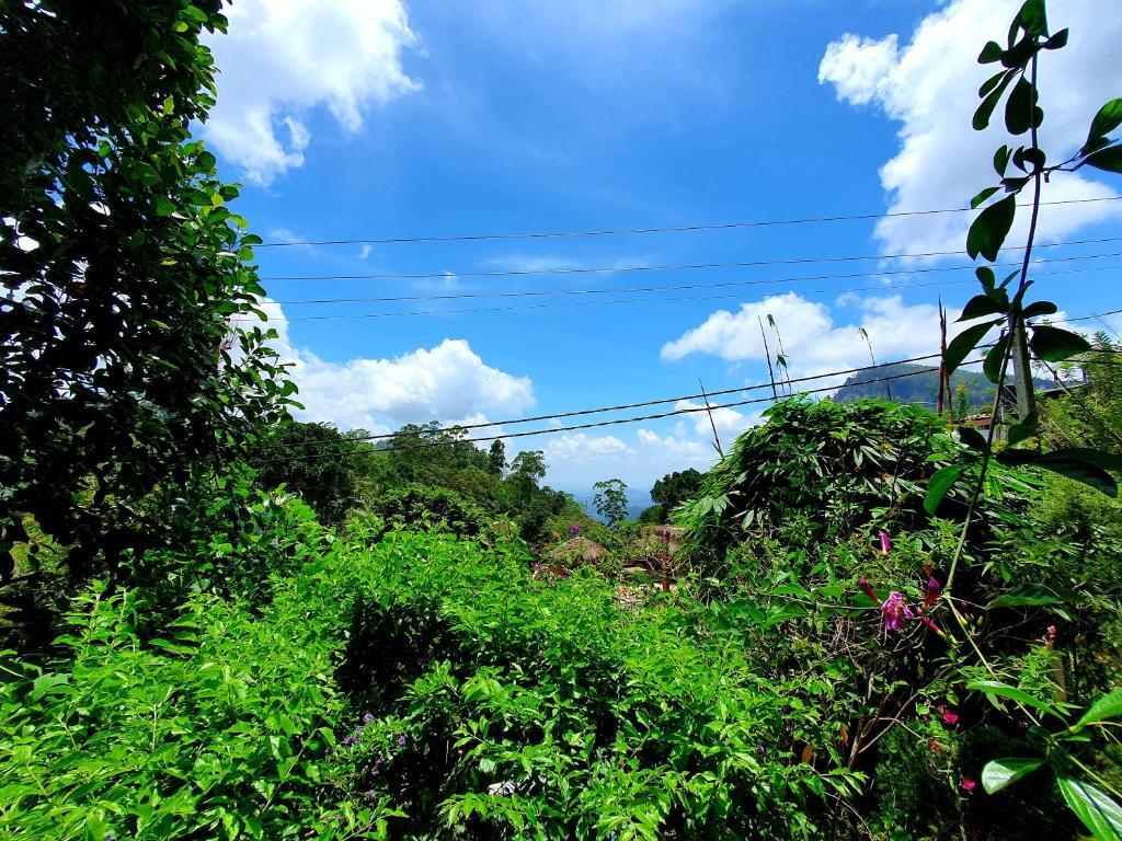 Элла: Sun Beam Homestay