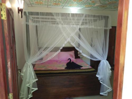 Мирисса: Lashan Guest