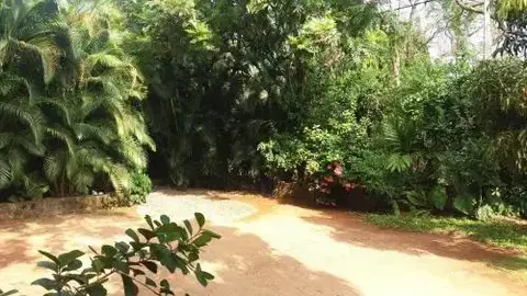 Дамбулла: Nature Tourist Inn