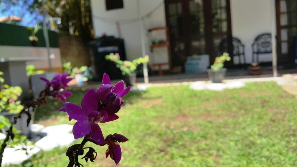 Мирисса: Era Holiday House