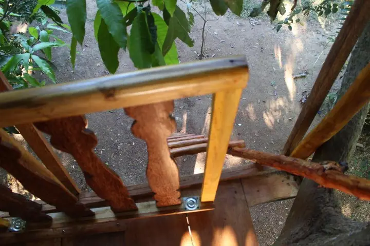 Tree House-Midigama — фото 6