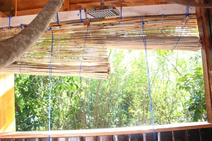 Tree House-Midigama — фото 5