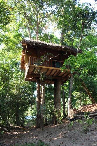 Ахангама: Tree House-Midigama