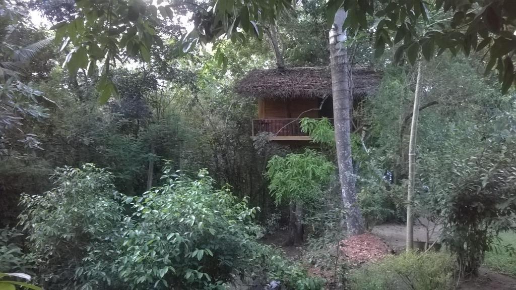 Tree House-Midigama — фото 4
