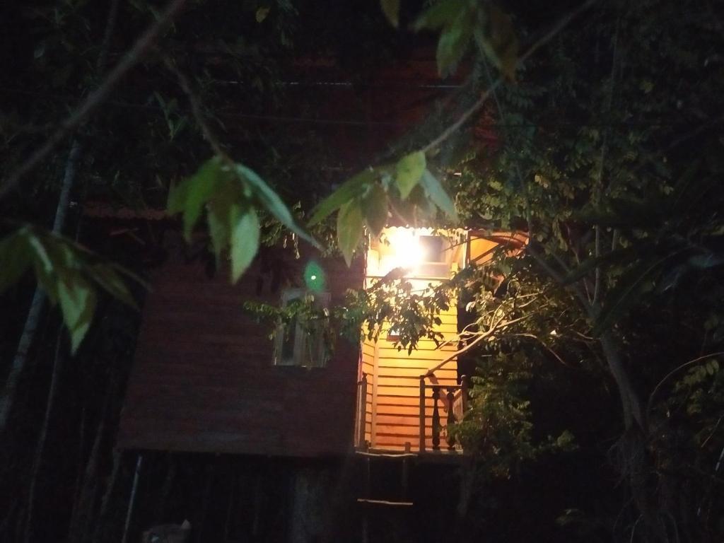 Tree House-Midigama — фото 2