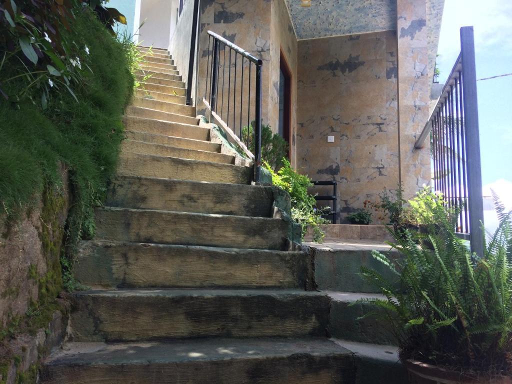 Элла: Sunray Homestay