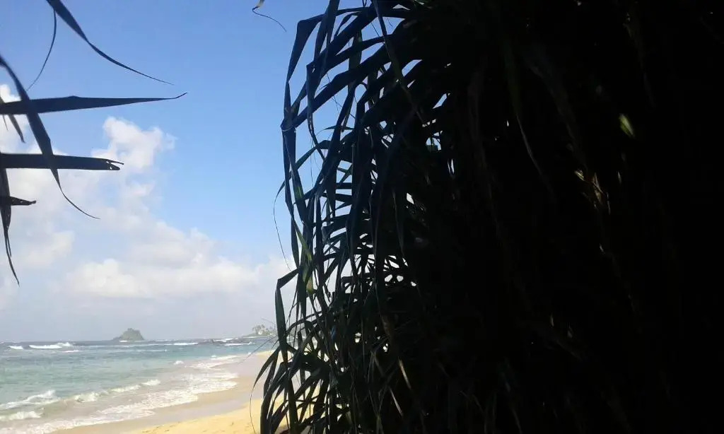 Ахангама: Ram's Surfing Beach,Midigama