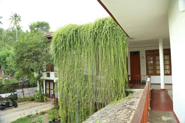Мирисса: Mount Garden Guest House