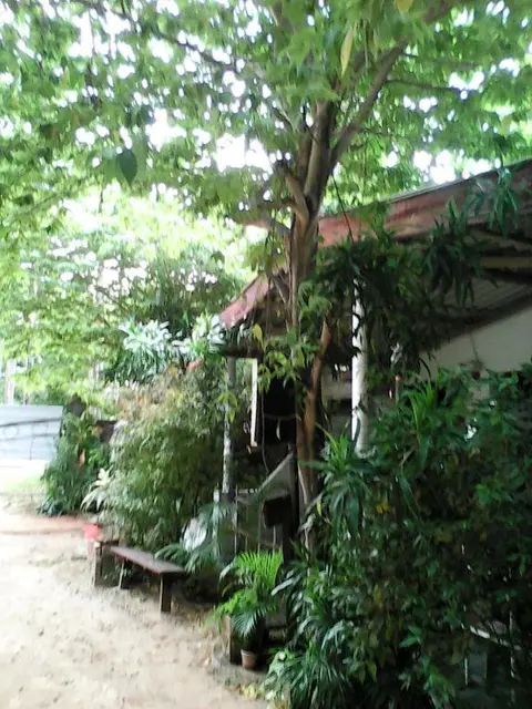 Дамбулла: Lotus Inn Tourist Resort