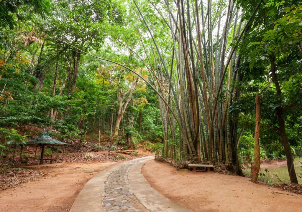 Канди: Kandy Hill Escape