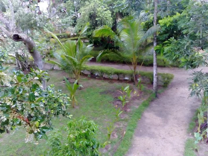 Ахангама: Riparian Rest