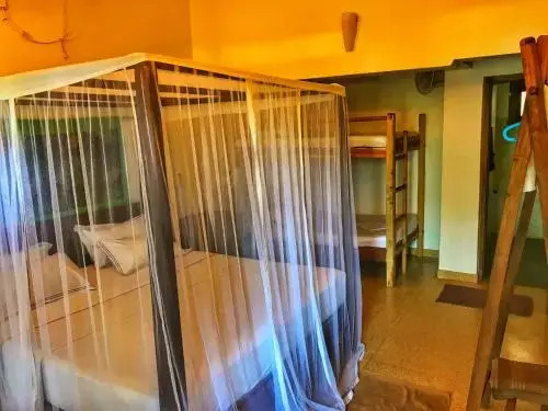 Аругам-Бэй: Gecko Restaurant & Rooms