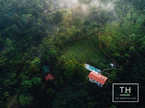 Канди: Tea Heights