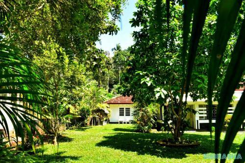 Subhasha Summer Cottage — фото 4