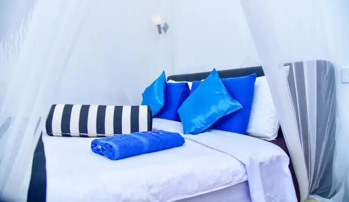 Элла: Silent Nest