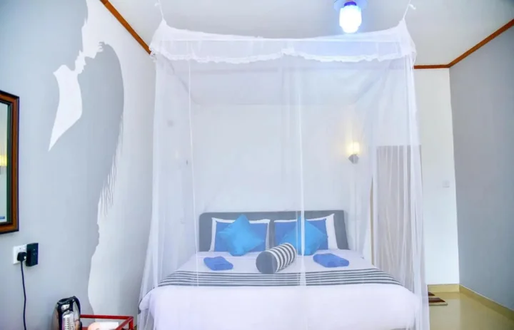 Элла: Silent Nest