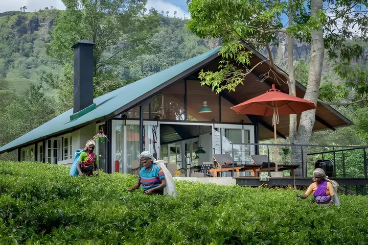 Канди: Madulkelle Tea and Eco Lodge