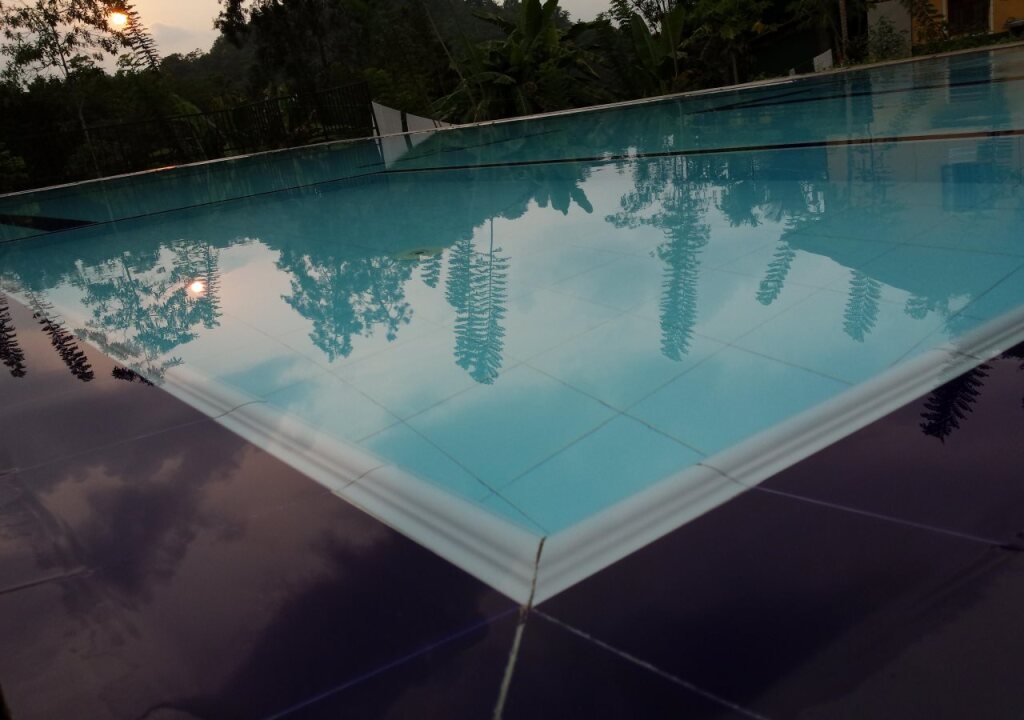 Diyaulpath Tea Garden Resort — фото 2