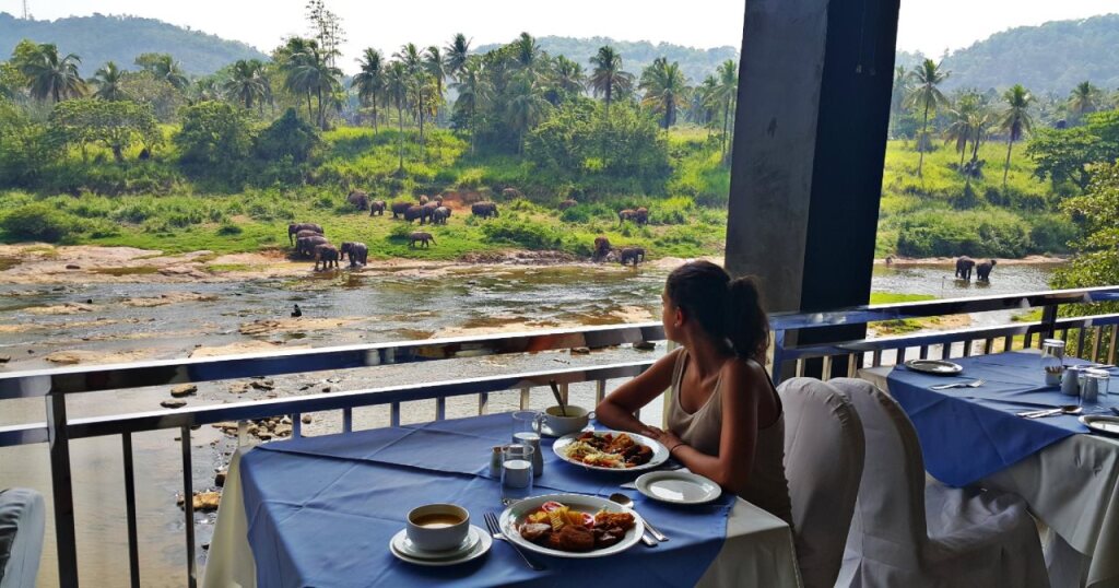 Пиннавала: Hotel Elephant Park