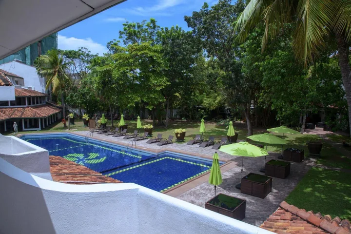 Гора Lavinia: Palms, Mount Lavinia