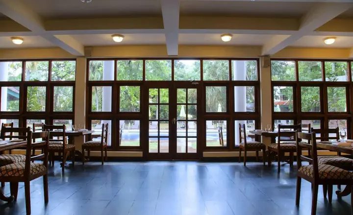 Гора Lavinia: Palms, Mount Lavinia
