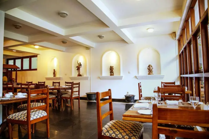 Гора Lavinia: Palms, Mount Lavinia