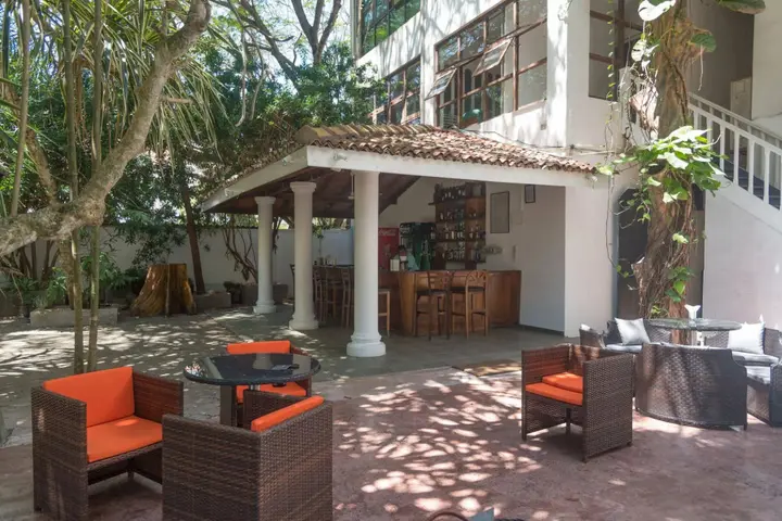 Гора Lavinia: Palms, Mount Lavinia