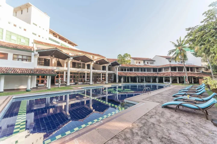 Гора Lavinia: Palms, Mount Lavinia