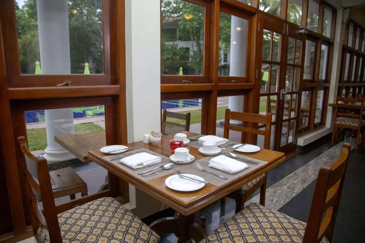 Гора Lavinia: Palms, Mount Lavinia