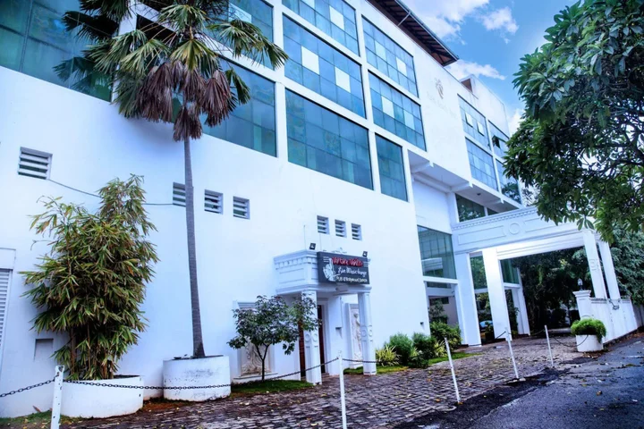 Гора Lavinia: Palms, Mount Lavinia