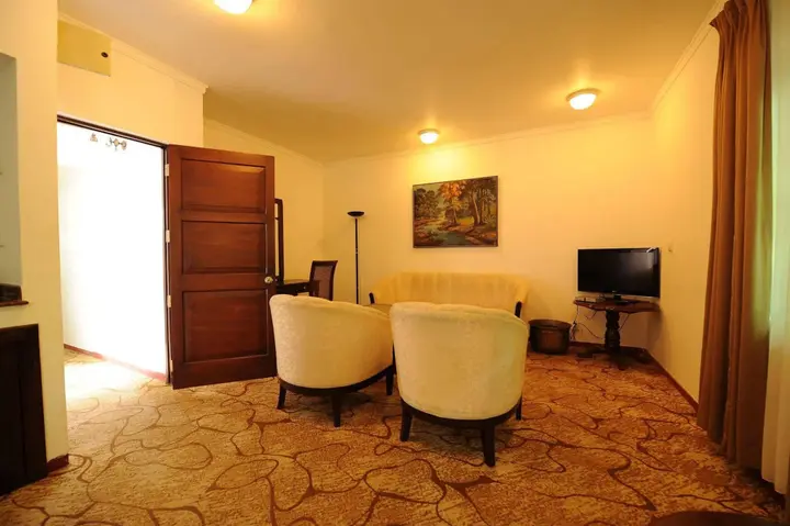 Гора Lavinia: Palms, Mount Lavinia