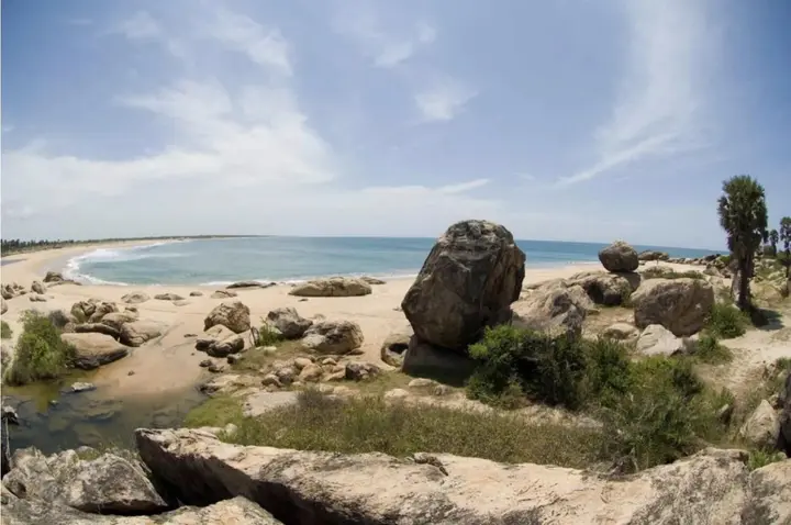 Аругам-Бэй: Arugam Bay Surfing Resort