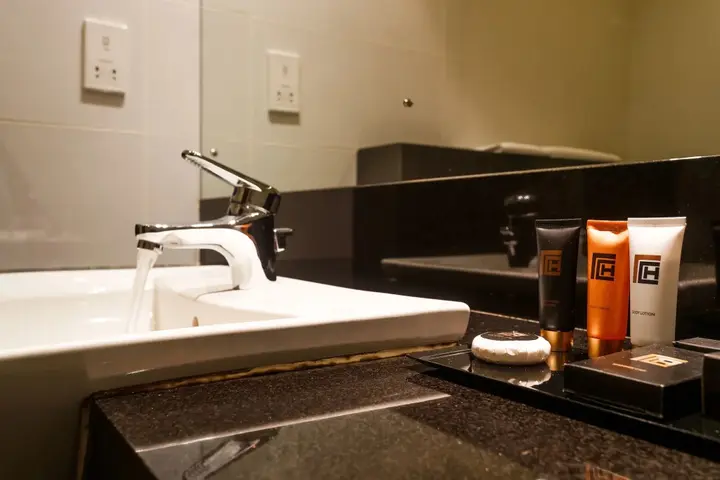 Коломбо: Renuka City Hotel